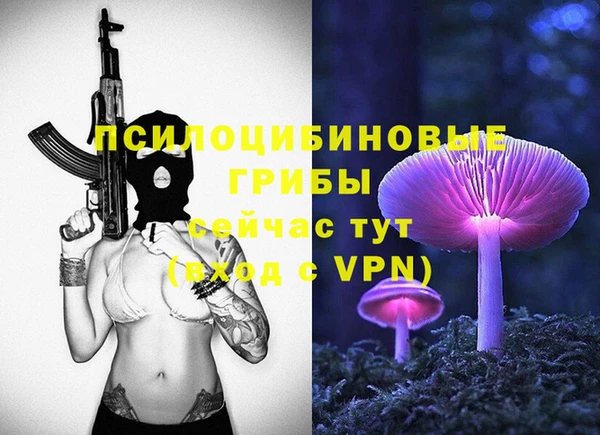 эйфоретик Тында