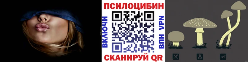 Купить  Хилок  Псилоцибиновые грибы Psilocybe 